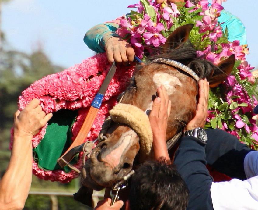 Shielding Gormley's eyes while putting on the flowers. (Julie June Stewart photo)